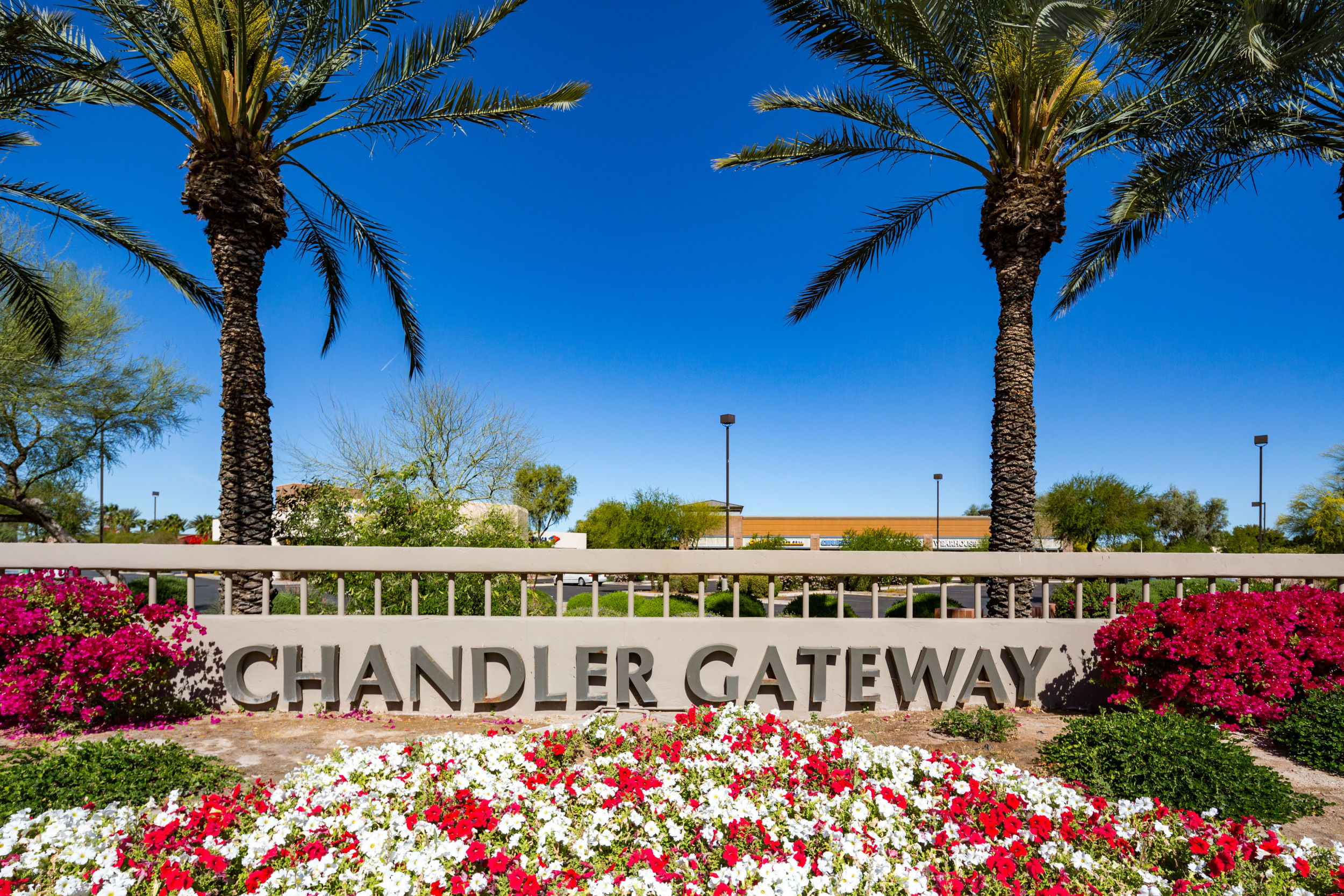 Places To Eat In Downtown Chandler 15 - 94yxx1a