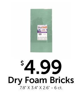 $4.99 Dry Foam Bricks