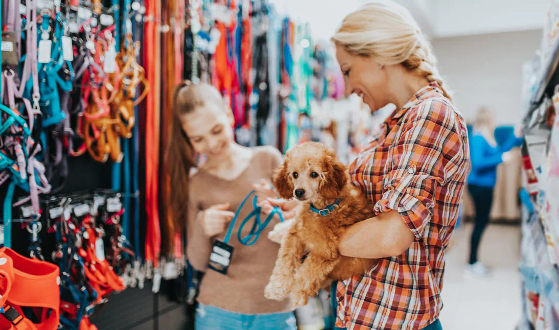 Two women stand in a pet store. The first woman is holding a miniature tan colored poodle and the second woman holds up a teal leash.