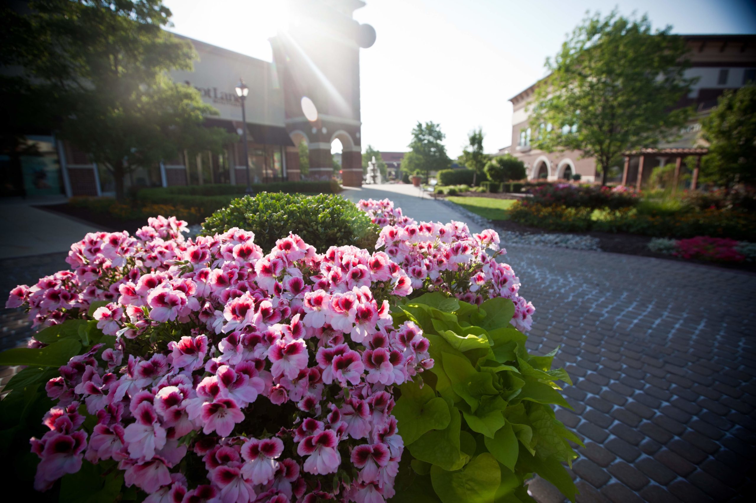 About Jefferson Pointe