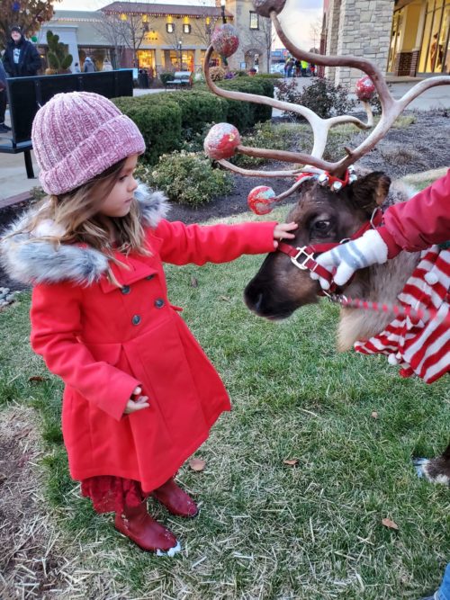 Live Reindeer at Jefferson Pointe