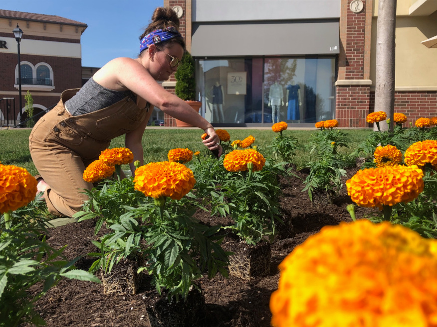 Marigolds planted at Jefferson Pointe bring color to sidewalk and Good MRKT products