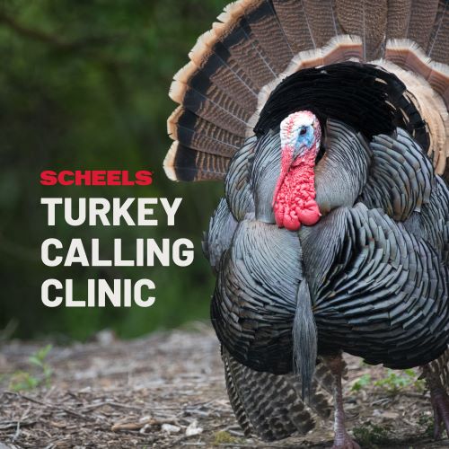 SCHEELS Turkey Calling Clinic