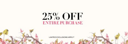 25% off Entire Purchase