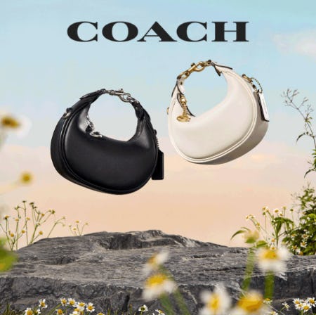 COACH for Mother’s Day