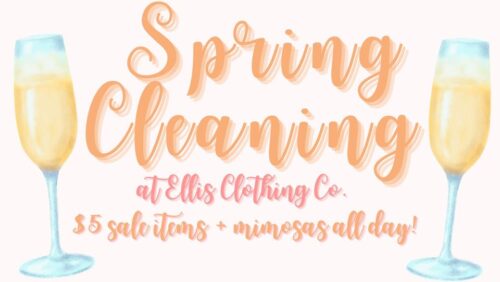 Spring Cleaning at Ellis Clothing Co – $5 Sale + Hope House Clothing Drive