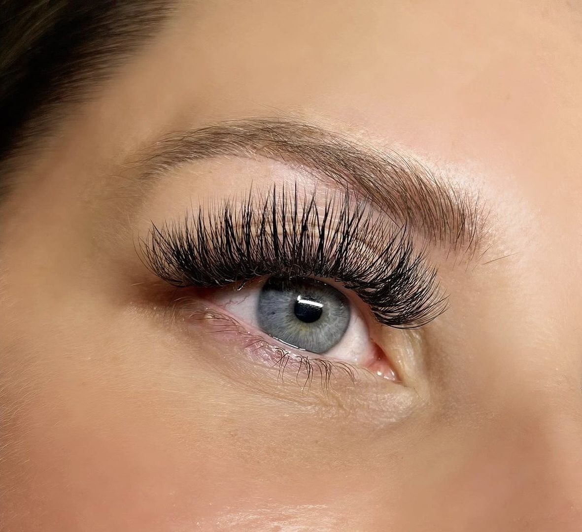 Amazing Lash Introductory Deal