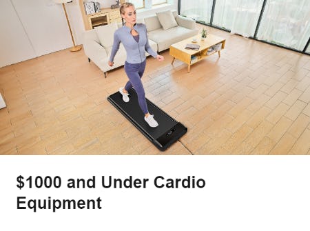 $1000 and Under Cardio Equipment