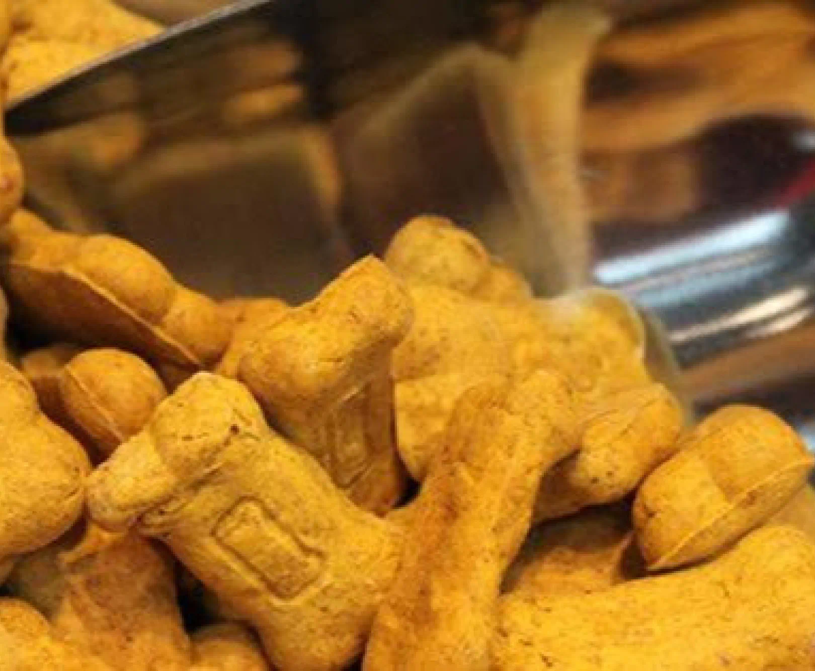 pile of dog treats