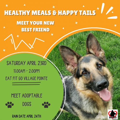 Healthy Meals & Happy Tails