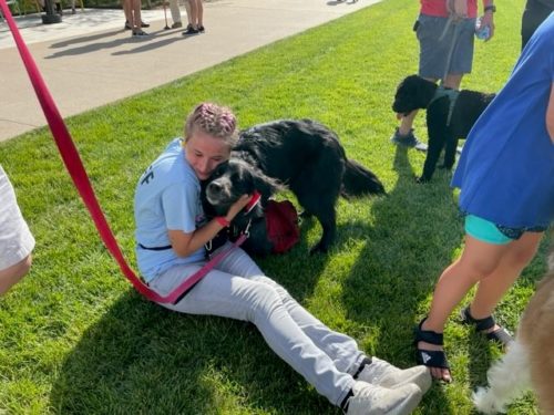 Free Dog Training Event at Village Pointe in September
