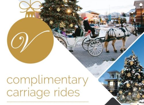 Horse & Carriage Rides
