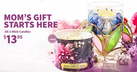 All 3-Wick Candles $13.95